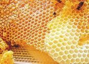 Мед,  пчелопакеты,  яд